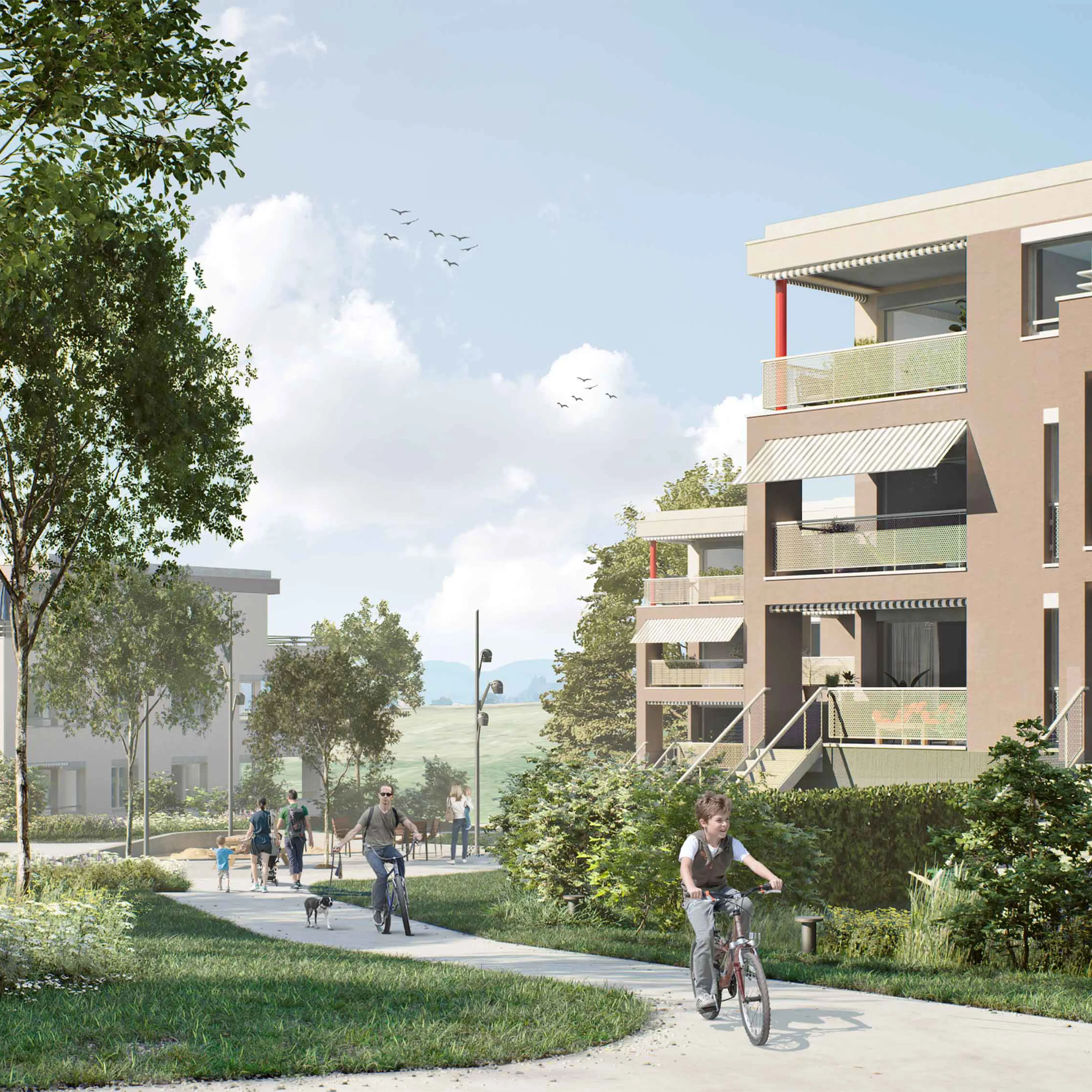 1701266636 Exterior01 Small